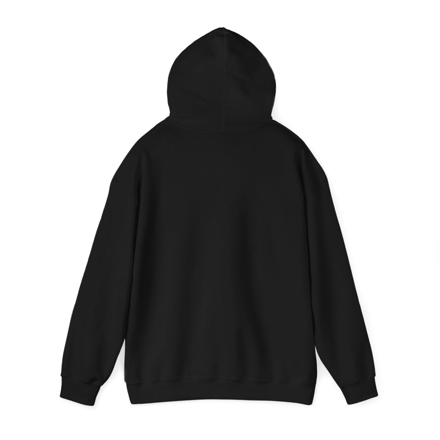 Anti MAGA Social Club Black Hoodie, Unisex Sweatshirt, Protest Apparel, Political Statement Wear, Activist Clothing, Front