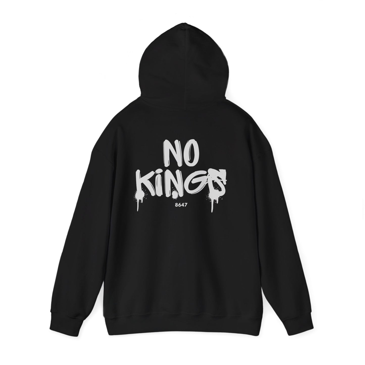 No Kings Protest Hoodie, Anti-Trump Black Sweatshirt, Political Activist Apparel, Resistance Clothing, Pullover, Back