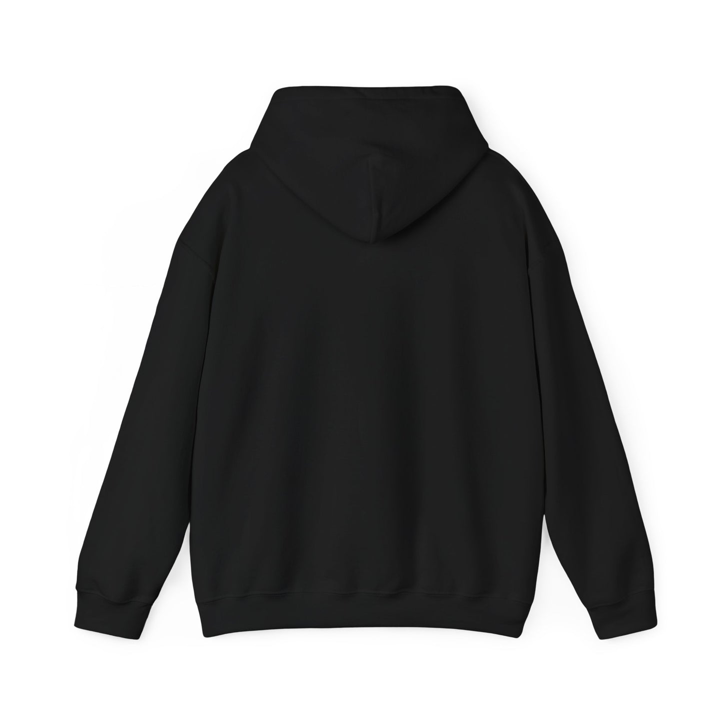 Anti MAGA Social Club Black Hoodie, Unisex Sweatshirt, Protest Apparel, Political Statement Wear, Activist Clothing, Front
