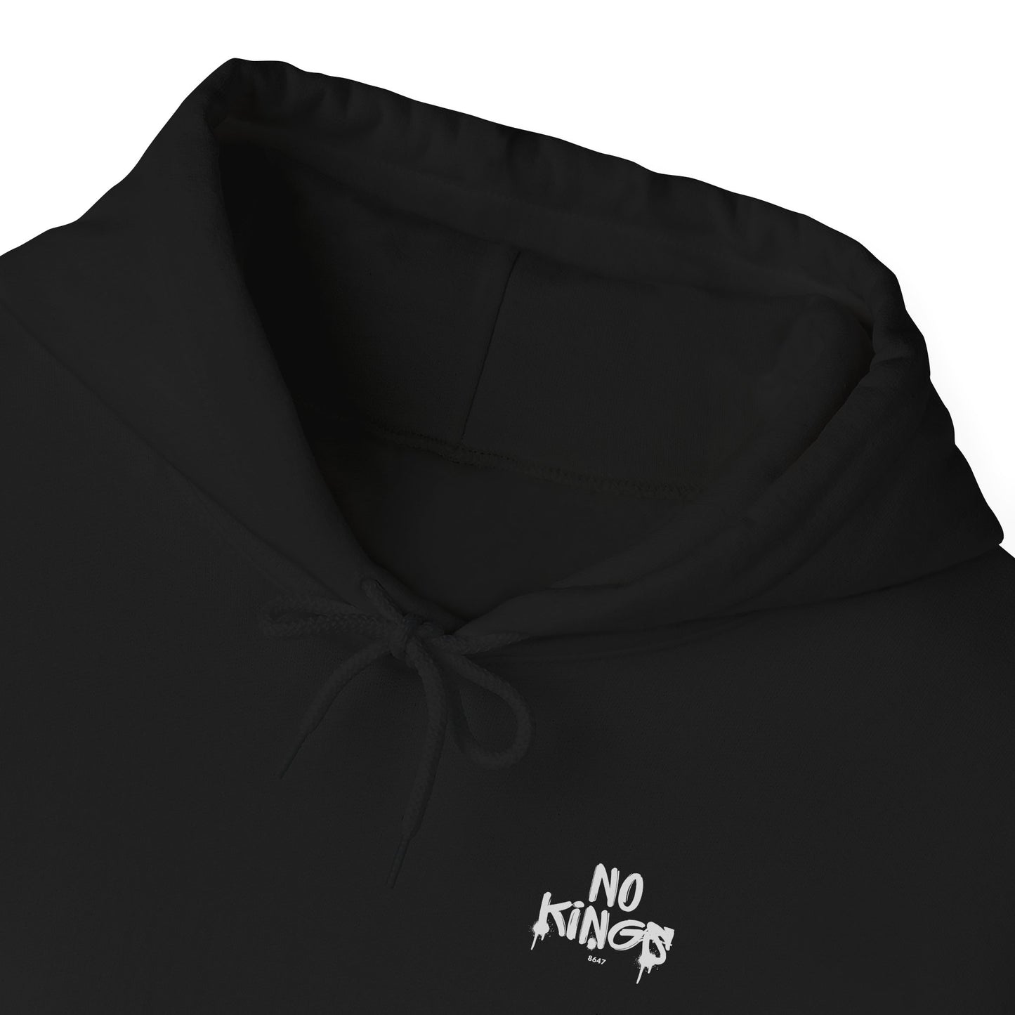 No Kings Protest Hoodie, Anti-Trump Black Sweatshirt, Political Activist Apparel, Resistance Clothing, Pullover, Back